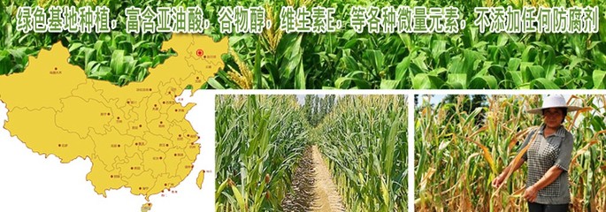 肇东市德昌乡龙江玉米种植专业合作社
